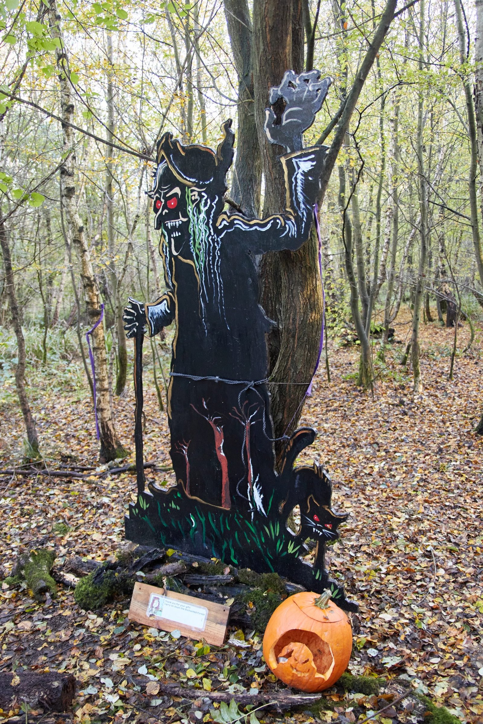 In November we celebrated Samhain, the start of the Celtic new year